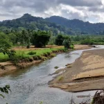 perjalanan menuju sukamade rute, tips, dan tantangan di tengah hutan meru betiri