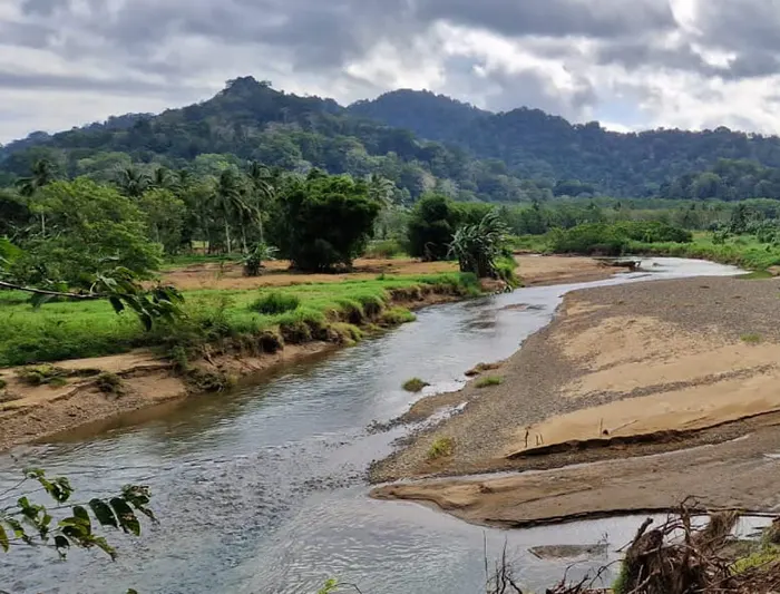 perjalanan menuju sukamade rute, tips, dan tantangan di tengah hutan meru betiri