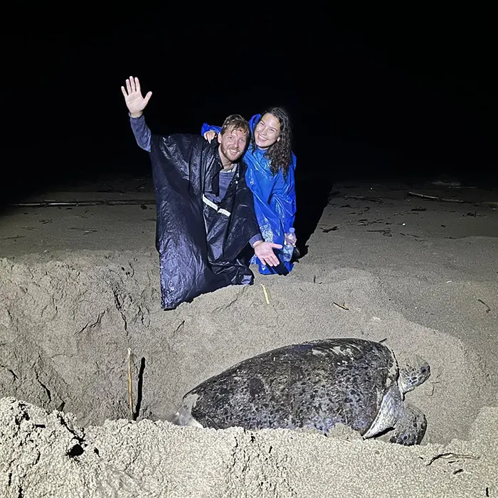 sukamade adventure petualangan menjelajahi konservasi penyu di ujung jawa