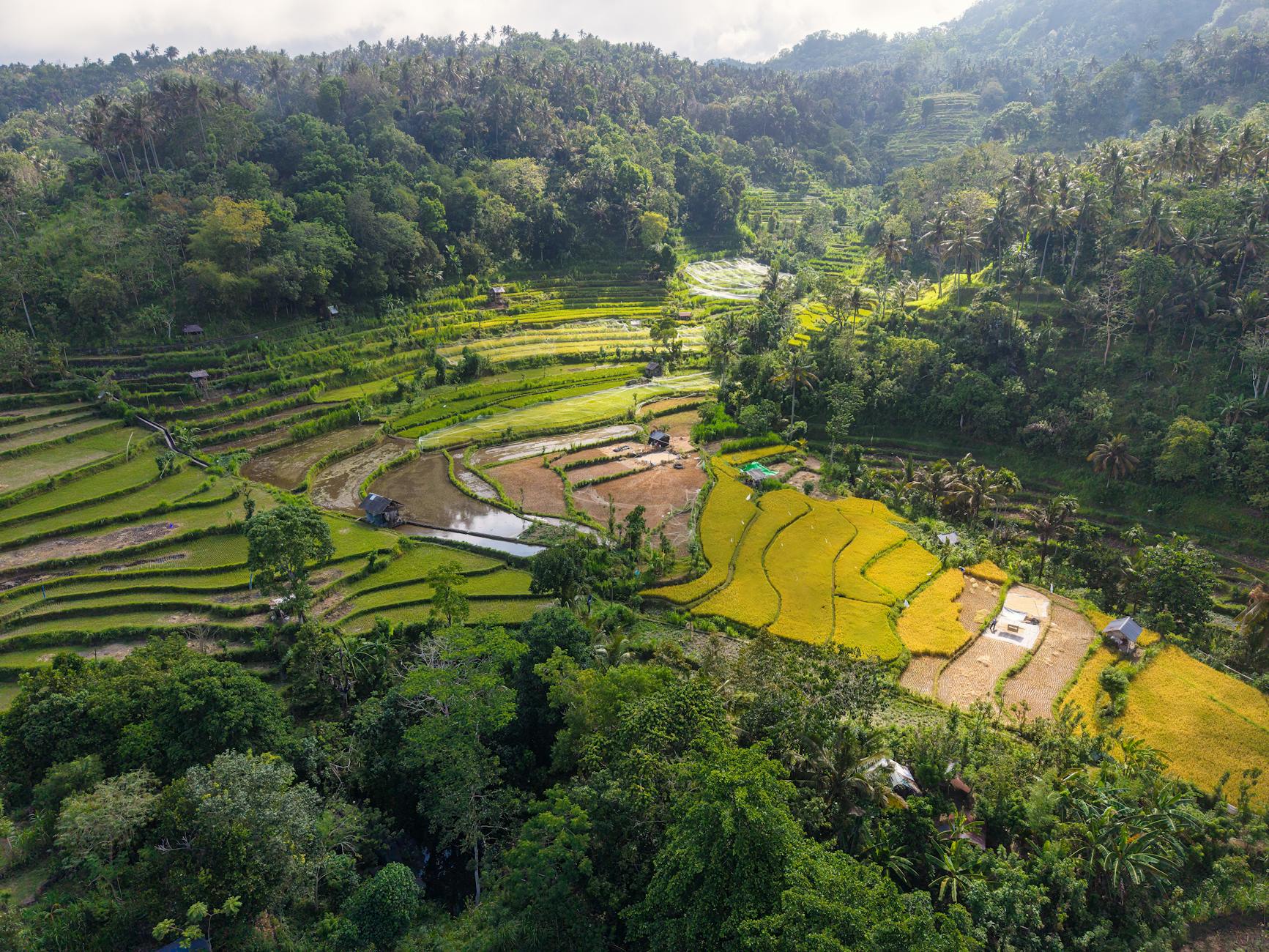 Air Terjun Singsing di Bali dengan pemandangan alam yang indah