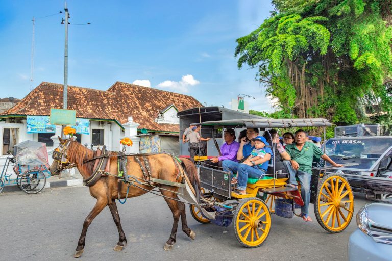 photo by man fong wong on pexels | wisata bali safari and marine park illustration