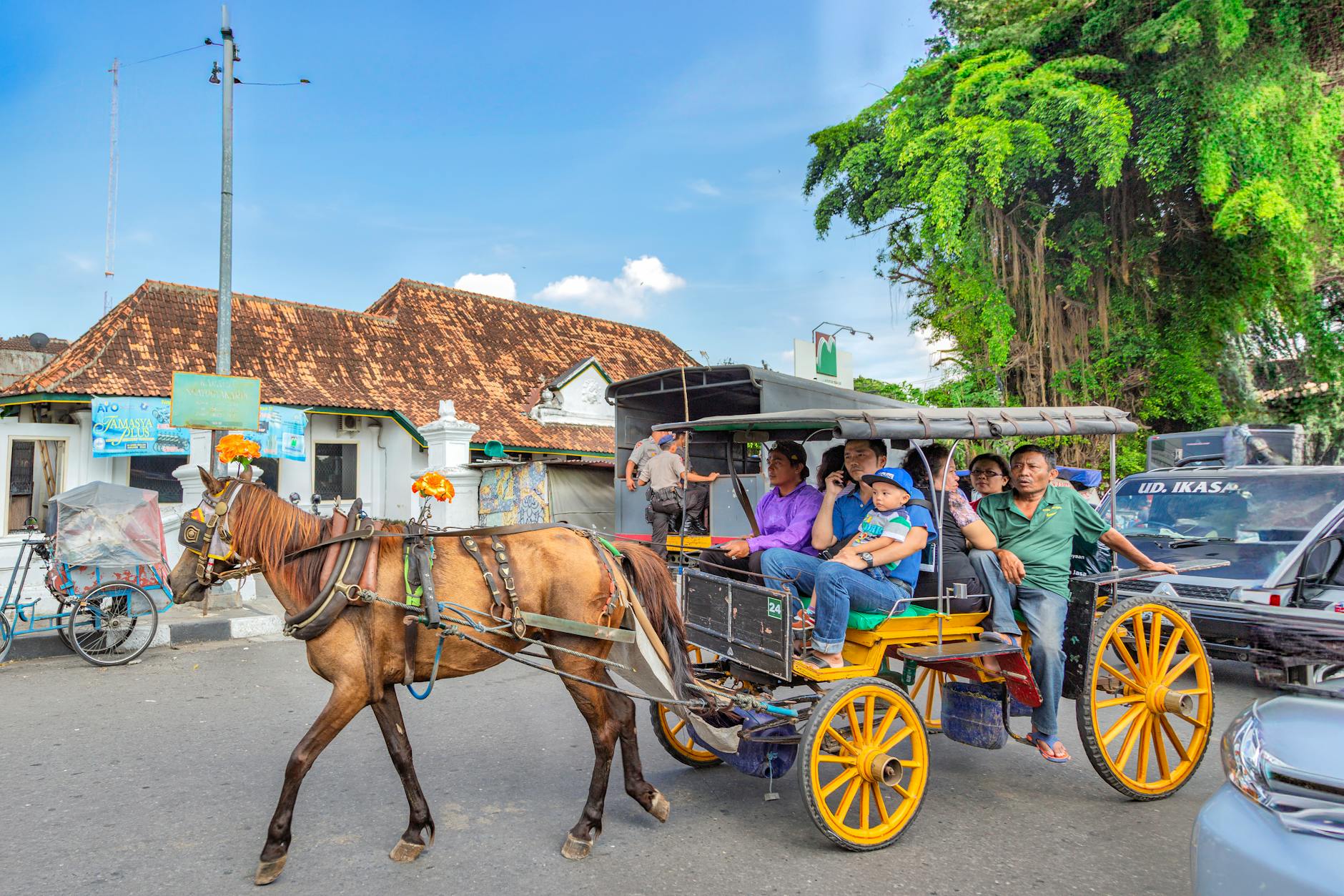 photo by man fong wong on pexels | wisata bali safari and marine park illustration