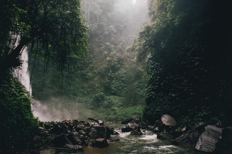 photo by alesia kozik on pexels | air terjun tegunungan bali illustration