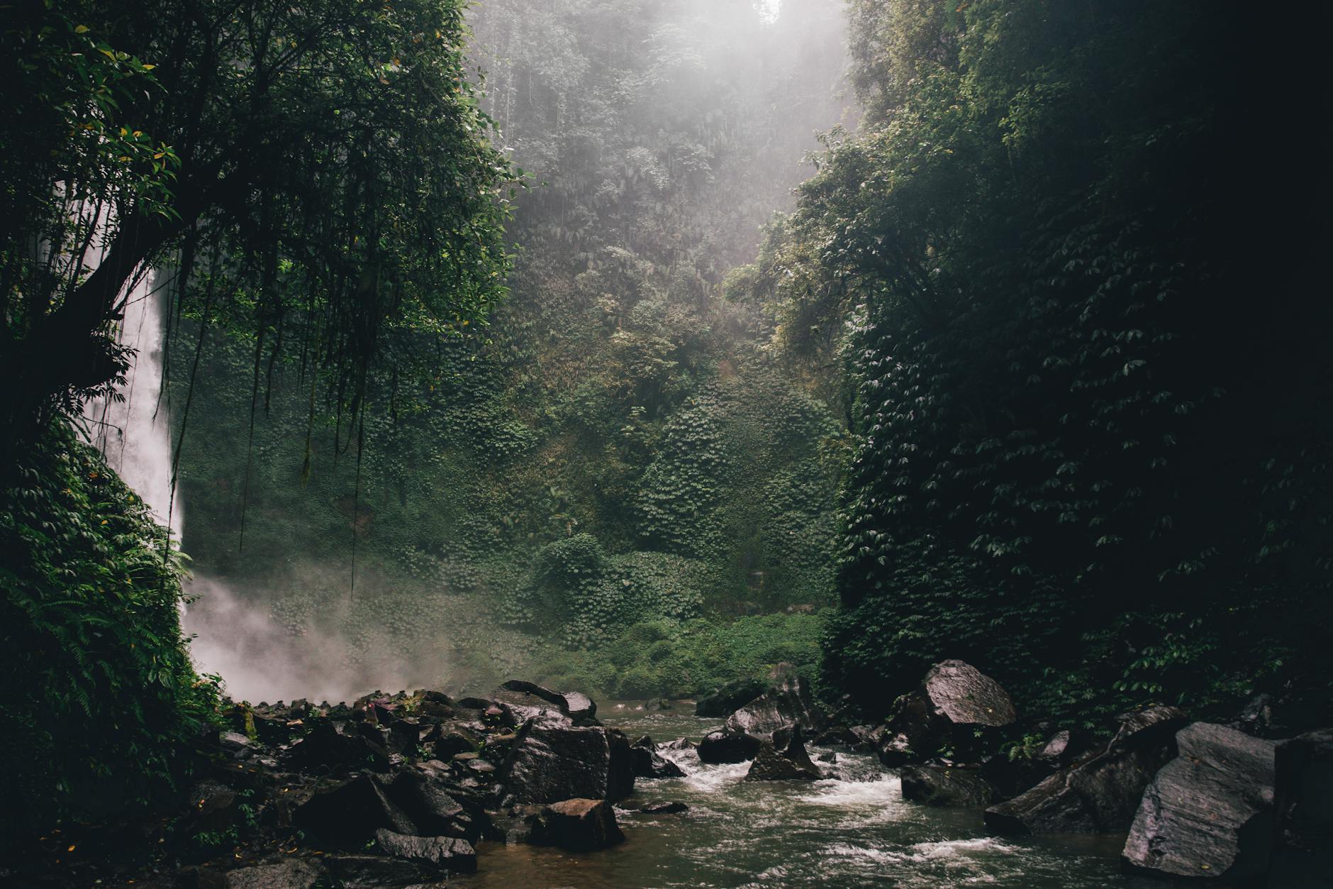 photo by alesia kozik on pexels | air terjun tegunungan bali illustration