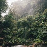 photo by alesia kozik on pexels | air terjun singsing bali illustration