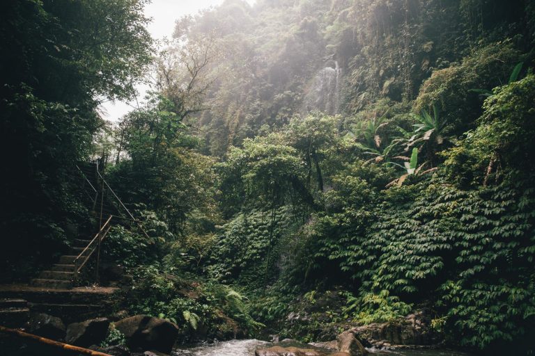 photo by alesia kozik on pexels | air terjun singsing bali illustration