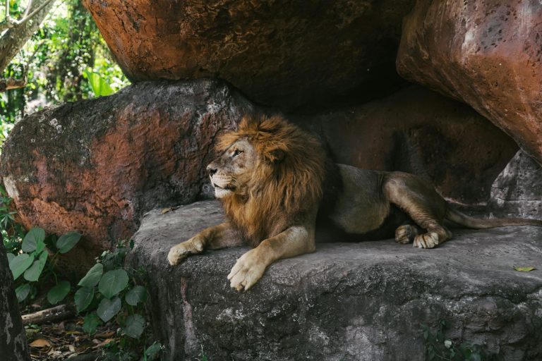 Taman safari dan aquarium di Bali dengan hewan langka dan pertunjukan menarik